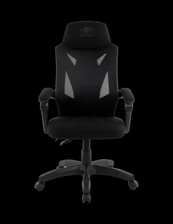 Spirit of Gamer Hellcat